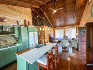 DJI_20240302_112057_480 AM